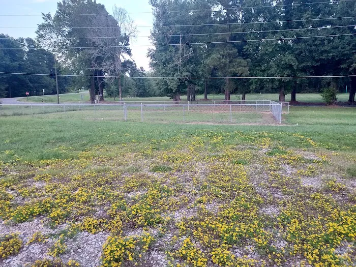 Henry Hill Farms RV Park Picture 3