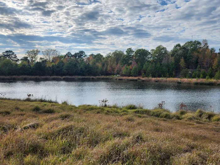 Henry Hill Farms RV Park Picture 4