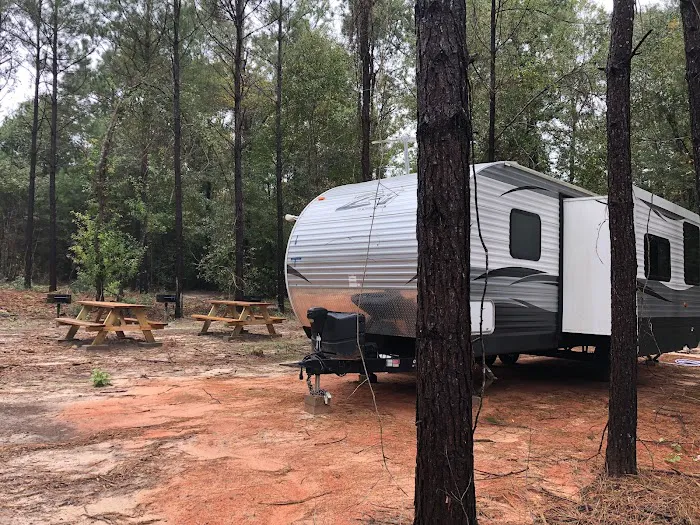 Jasper TX RV Park and Campground at Paula Bellow Nature Preserve Picture 2