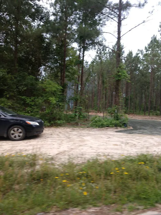 Jasper TX RV Park and Campground at Paula Bellow Nature Preserve Picture 4