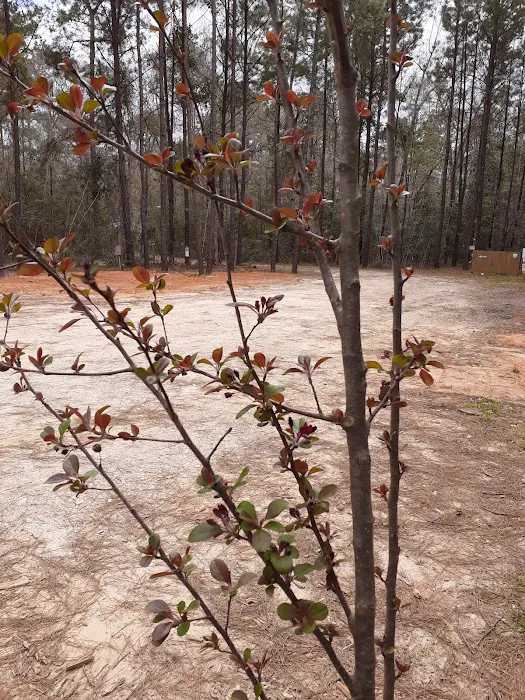 Jasper TX RV Park and Campground at Paula Bellow Nature Preserve Picture 8