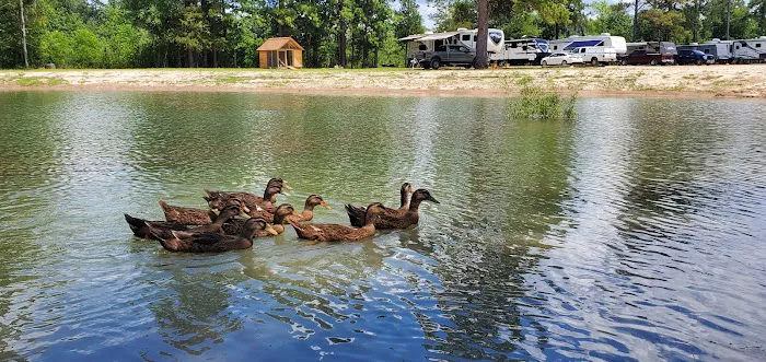 Bugout Rv Park Picture 8