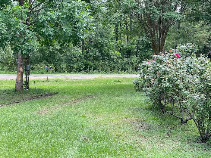 Little Gem RV Park Picture 3