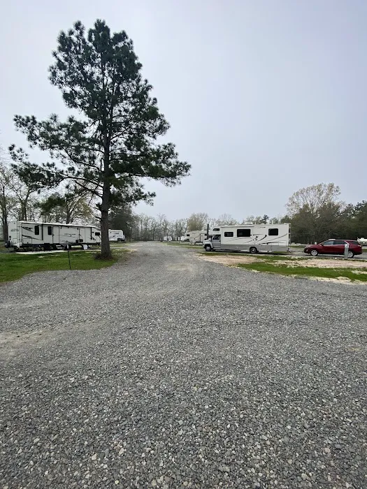 The Farm RV Park Picture 5