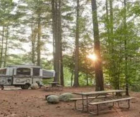 Timpson RV & Mobile Home Park