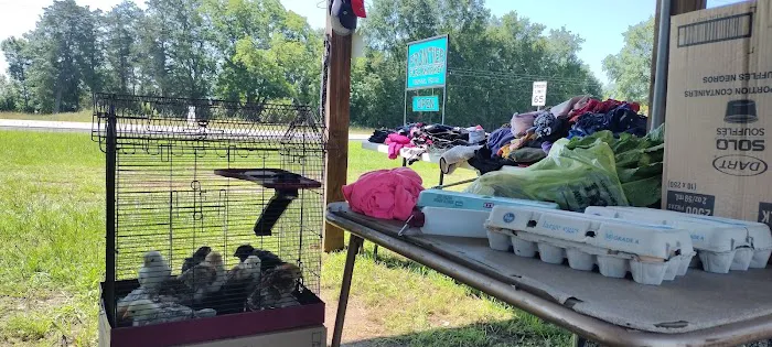 Frontier RV Camp Ground Picture 3