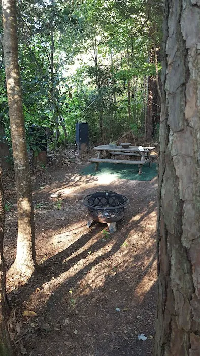 Magnolia Hill RV Park Picture 3