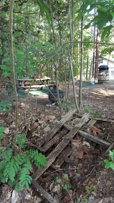 Magnolia Hill RV Park Picture 5