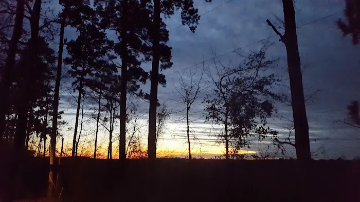 Magnolia Hill RV Park Picture 10