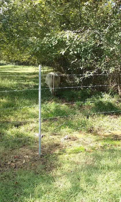 Morgan's Landing & RV Park Picture 2