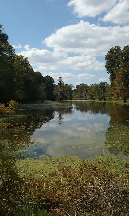 Morgan's Landing & RV Park Picture 1