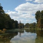 Morgan's Landing & RV Park