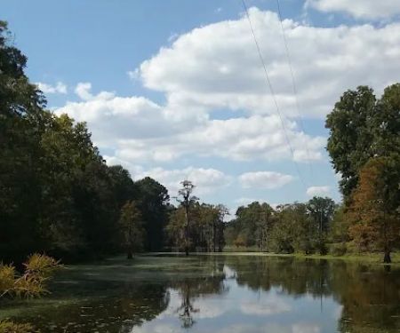 Morgan's Landing & RV Park