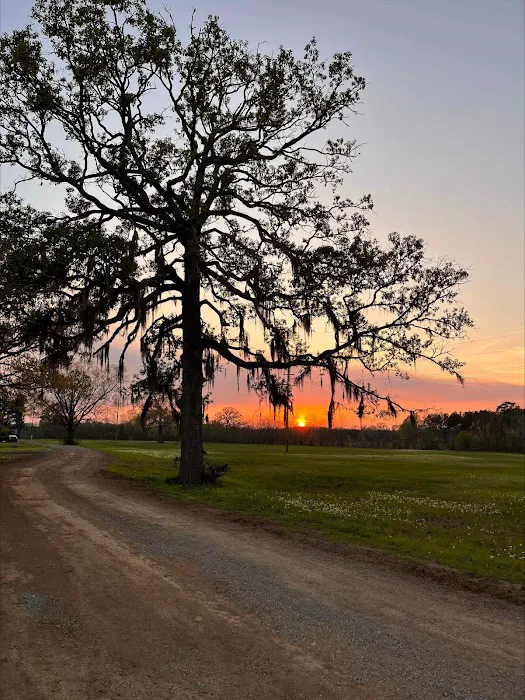 Lakeview Mobile Home and RV park Picture 3