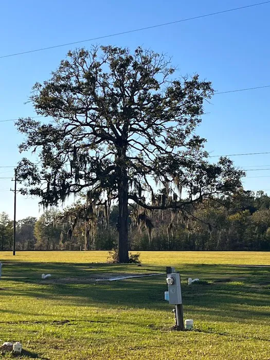 Lakeview Mobile Home and RV park Picture 5