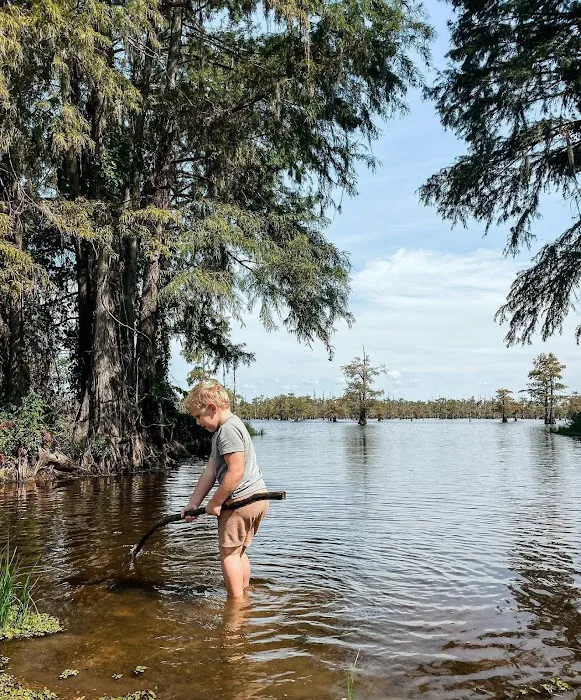 Lakeview Mobile Home and RV park Picture 6