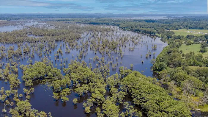 Lakeview Mobile Home and RV park Picture 10