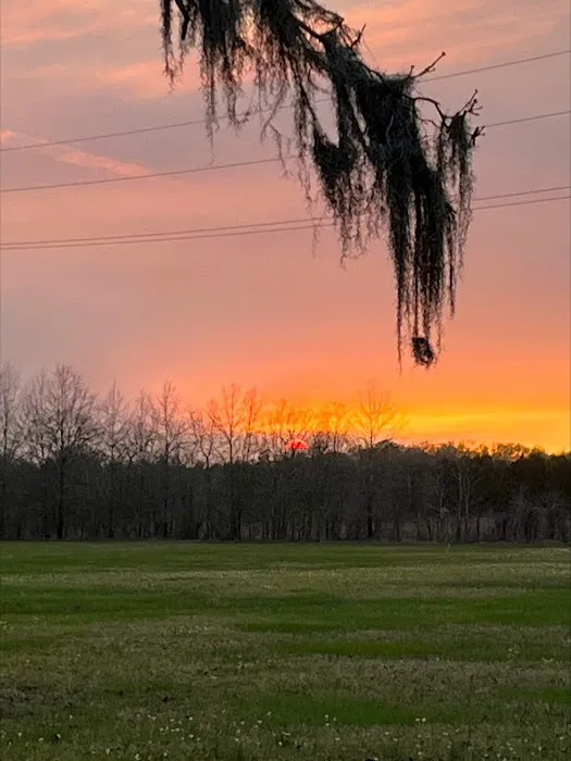 Lakeview Mobile Home and RV park Picture 8