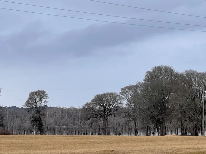 Lakeview Mobile Home and RV park Picture 9