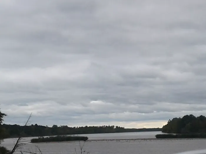 Montgomery RV Park Picture 8