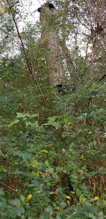 Montgomery RV Park Picture 6