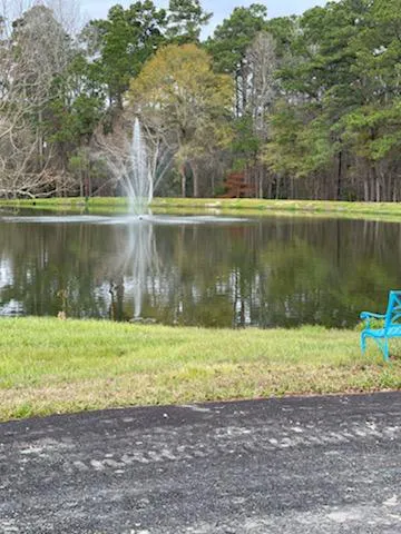 Paradise RV Park Picture 5