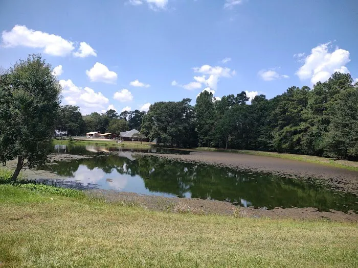 Paradise RV Park Picture 4