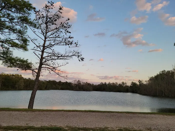 Piney Point Living Picture 3