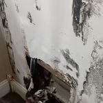 South Meadow Mobile Home Village