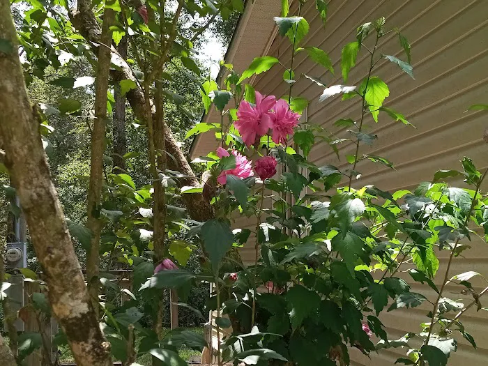 Westwood Mobile Home Community Picture 4