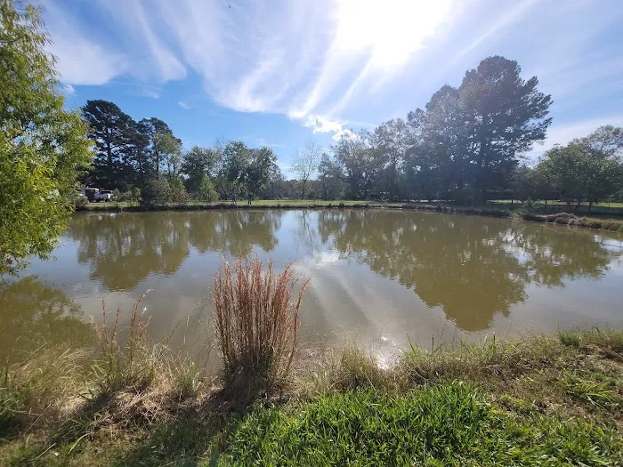 RED DIRT RETREAT- RV & Campground (formerly Twin Oaks RV Park) Picture 4