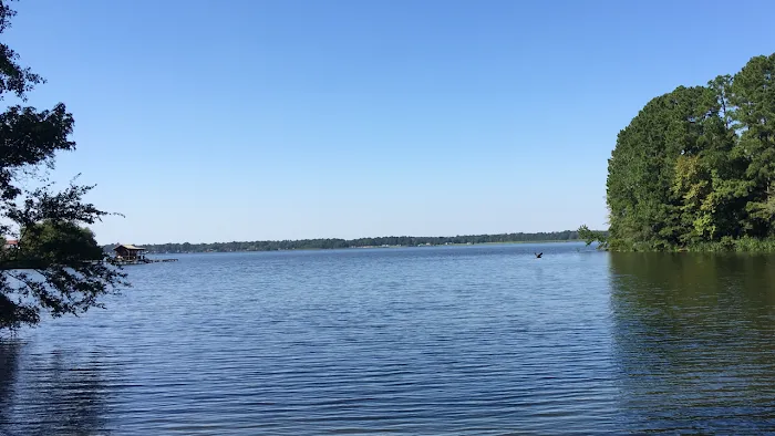 Bush Rentals & RV Park Picture 2