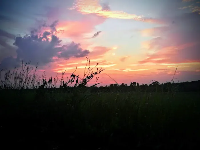 South Shreveport Mobile Villa Picture 8