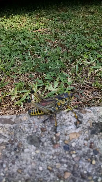 Willow Oak Community/Bella Vista MHP Picture 6