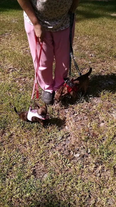 Willow Oak Community/Bella Vista MHP Picture 5