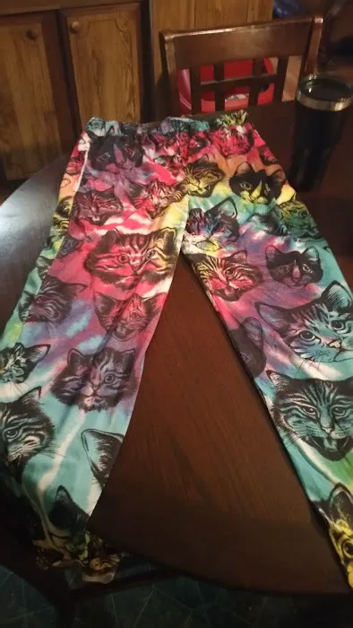 Trailer Park Picture 4