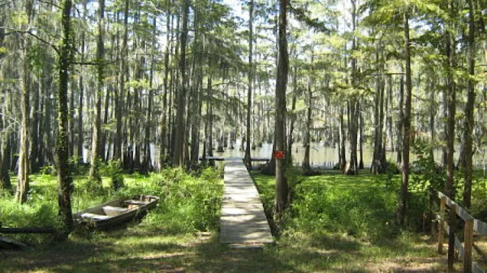 Whispering Oaks RV Park and Campground Picture 1