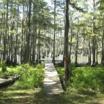 Whispering Oaks RV Park and Campground