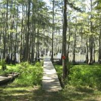 Whispering Oaks RV Park and Campground ico