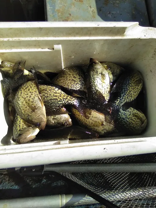 Whispering Oaks RV Park and Campground Picture 3