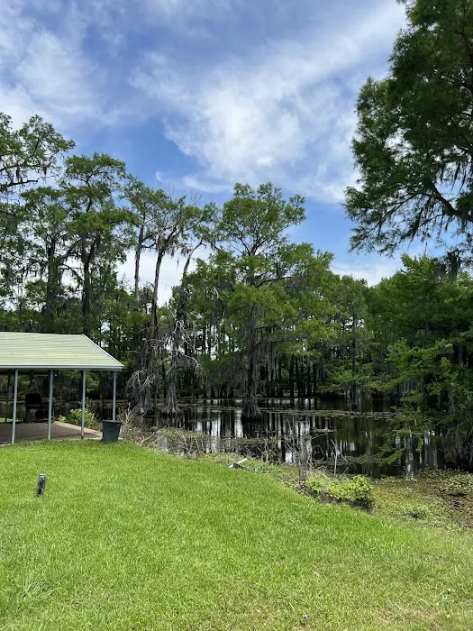 Bistineau Lake RV Resort Cabins & Camping Picture 2