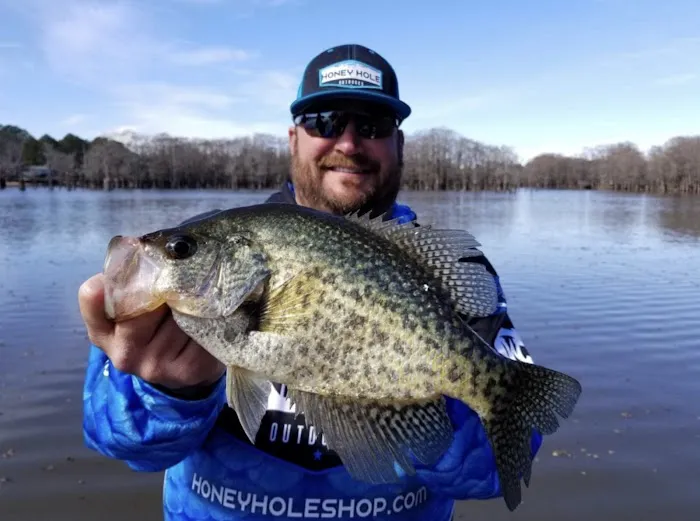 Bistineau Lake RV Resort Cabins & Camping Picture 5