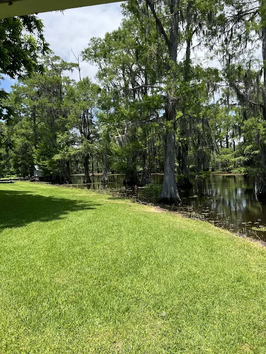 Bistineau Lake RV Resort Cabins & Camping Picture 6