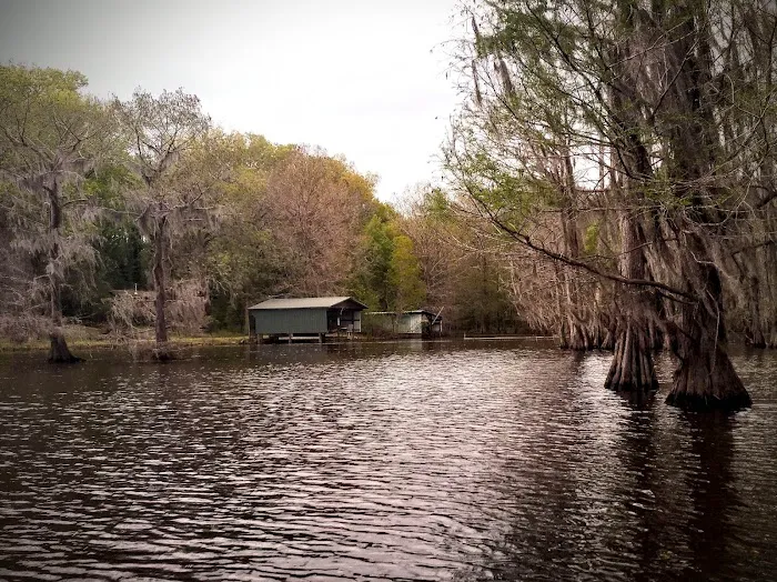 Bistineau Lake RV Resort Cabins & Camping Picture 8