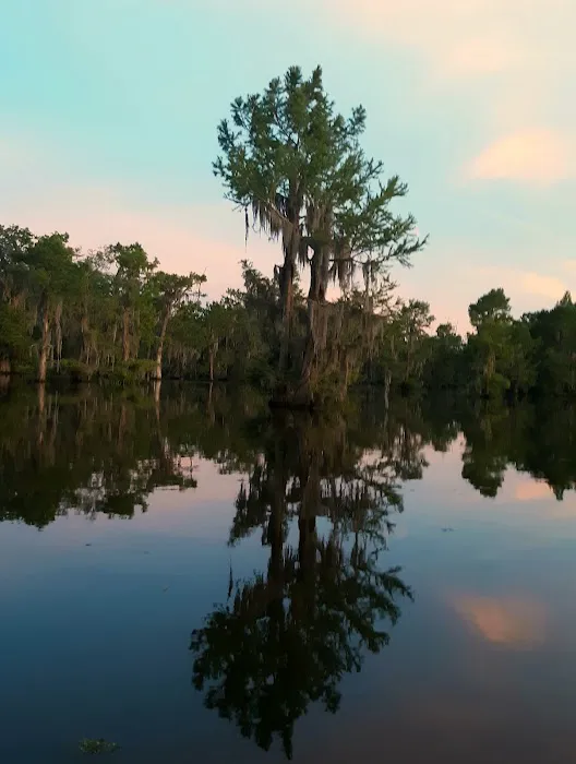 Bistineau Lake RV Resort Cabins & Camping Picture 9