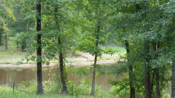 Blue Pond RV Park Picture 2