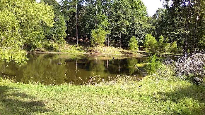 Blue Pond RV Park Picture 8