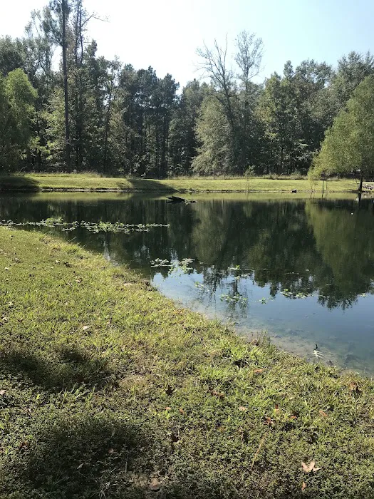 Blue Pond RV Park Picture 6