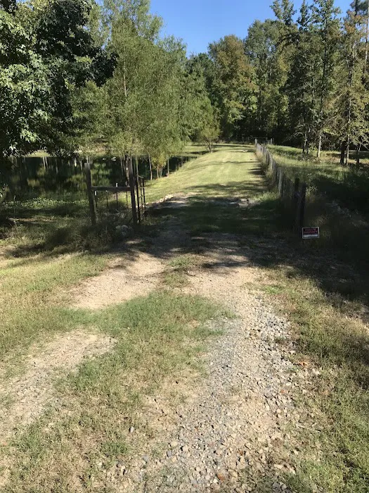 Blue Pond RV Park Picture 4