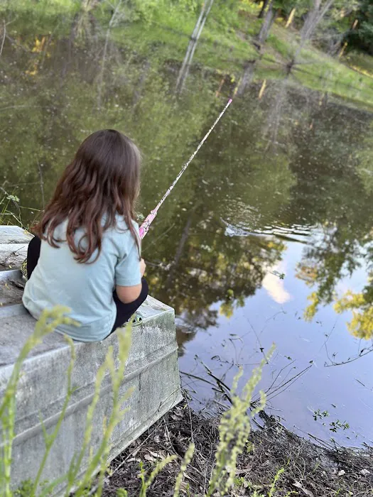 Blue Pond RV Park Picture 10